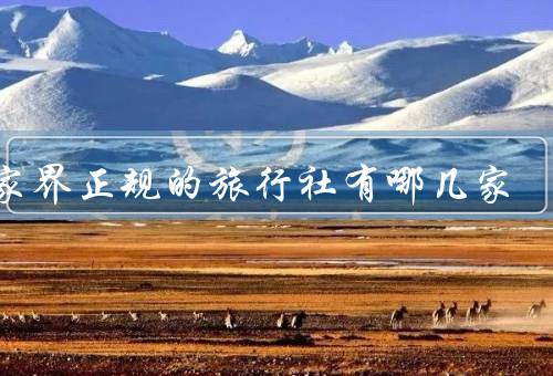 张家界正规的旅行社有哪几家，旅游集团、风景区旅行社、湖南国旅