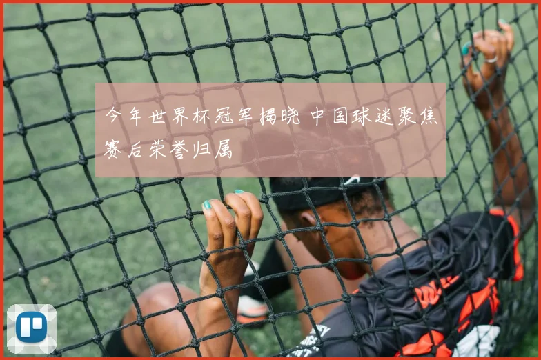 今年世界杯冠军揭晓 中国球迷聚焦赛后荣誉归属