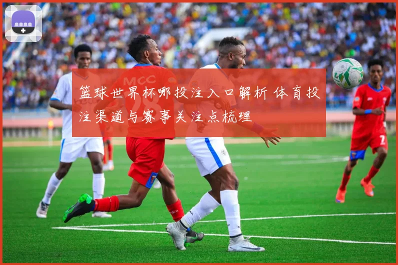 篮球世界杯哪投注入口解析 体育投注渠道与赛事关注点梳理