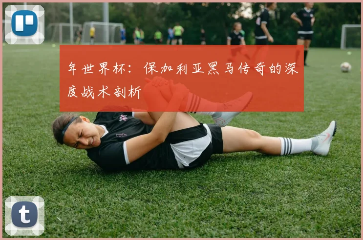 年世界杯：保加利亚黑马传奇的深度战术剖析
