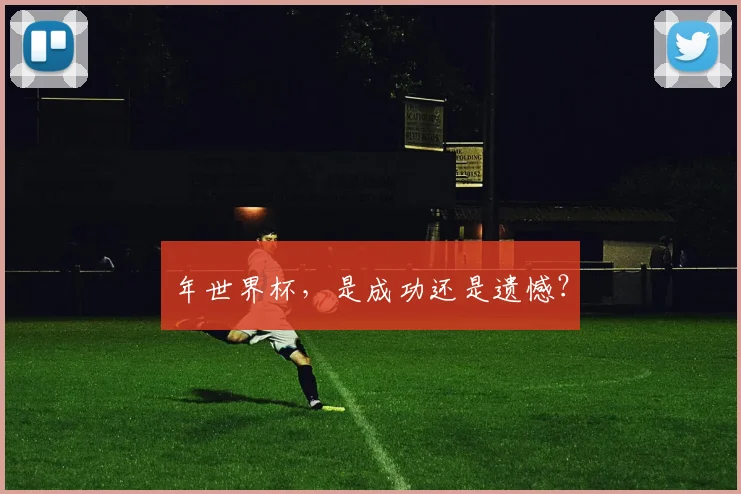 年世界杯，是成功还是遗憾？