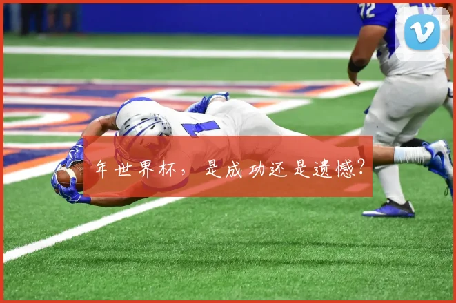 年世界杯，是成功还是遗憾？