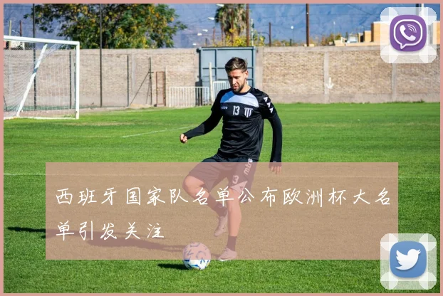 西班牙国家队名单公布欧洲杯大名单引发关注